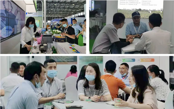 1625560638553536.png 1625560562(1).png